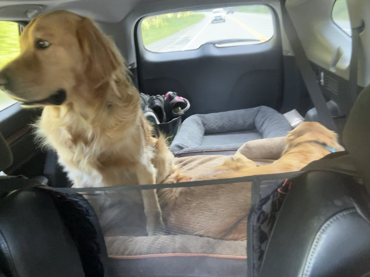 Road trippin🐶🐶
Ocean bound🙂