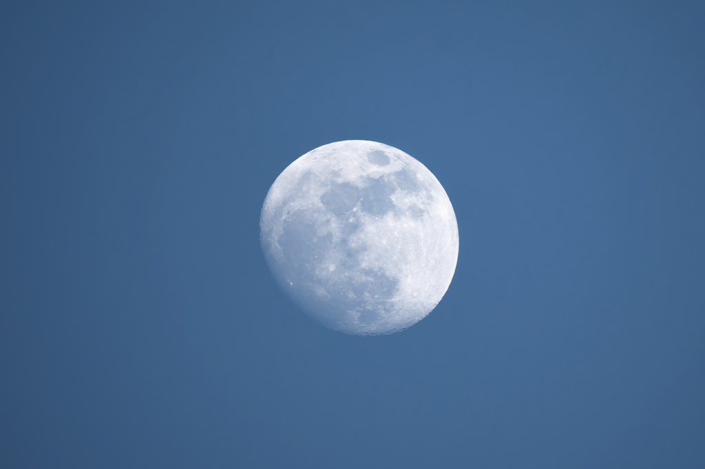 sysarcs's tweet photo. Daylight Moon 🌔 https://t.co/iyvCYELnsn
