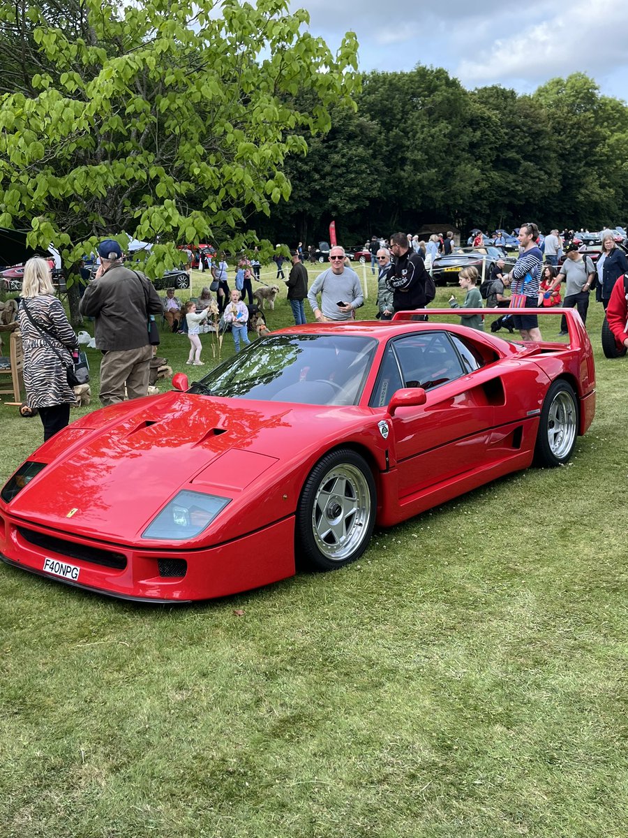 Laura Lerwill tweet media