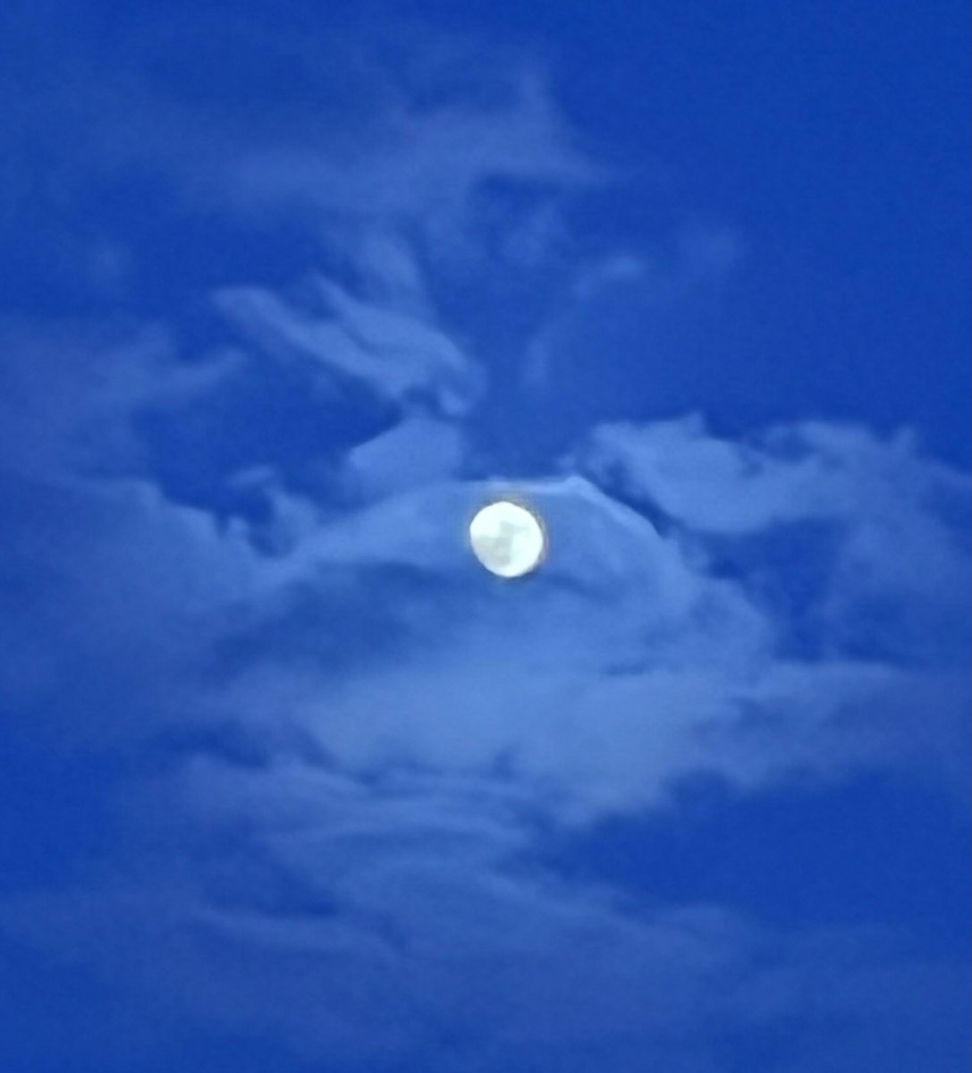 PikupikuAlex's tweet image. Y tú ahí, como siempre.

#Cosas