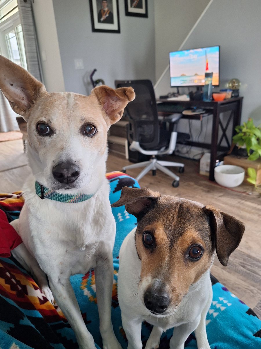 Kāne Bel 🇨🇦 tweet media