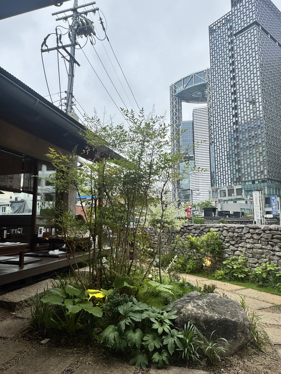 ttuti2005's tweet photo. 예전에 비오는날 갔었는데 좋았어욤
냄새도 안나고 안먹는부위는 동그랗게 되어있어서 덜어내기도 좋았움 https://t.co/yUc1S9VQOy