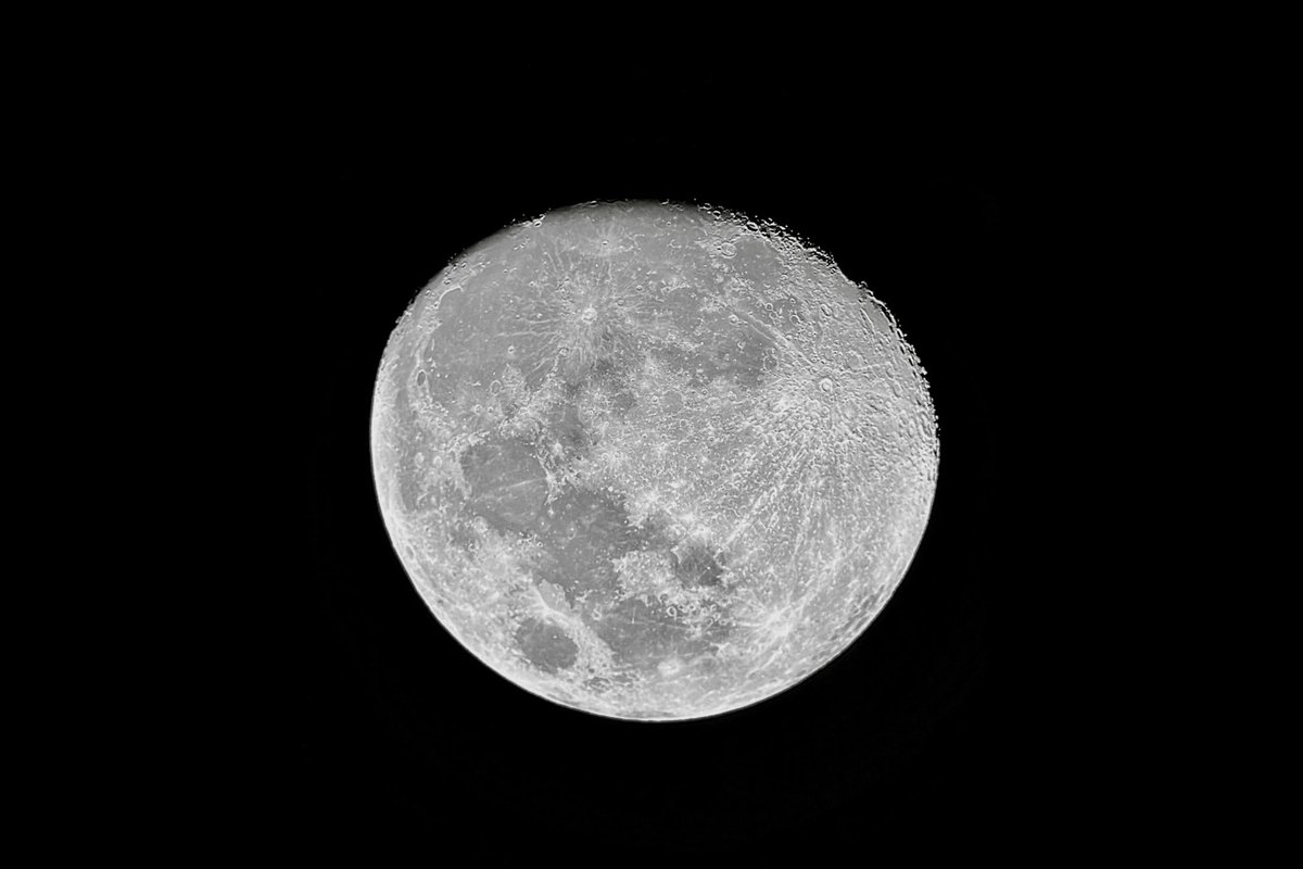 hajaralls's tweet image. under the moon ☾