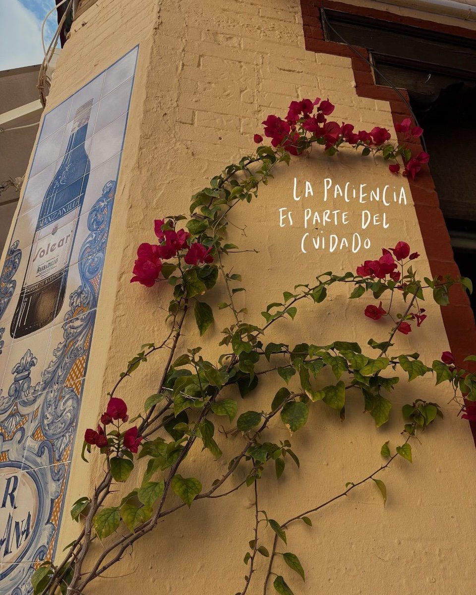 nación (@escritosnacion) on Twitter photo 