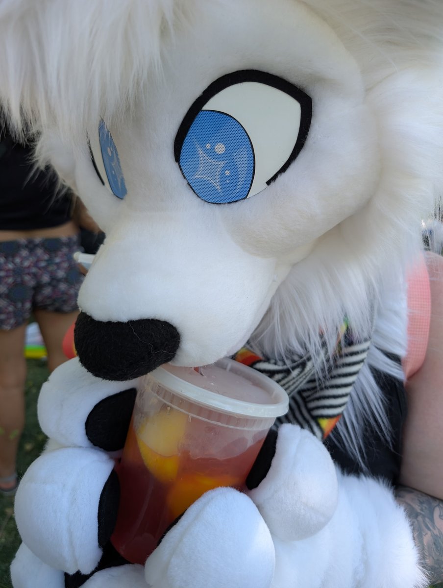 SVCfursuits's tweet image. At Utah #pride festival!
#fursuit #furry #fursuiter #utahpridefest
