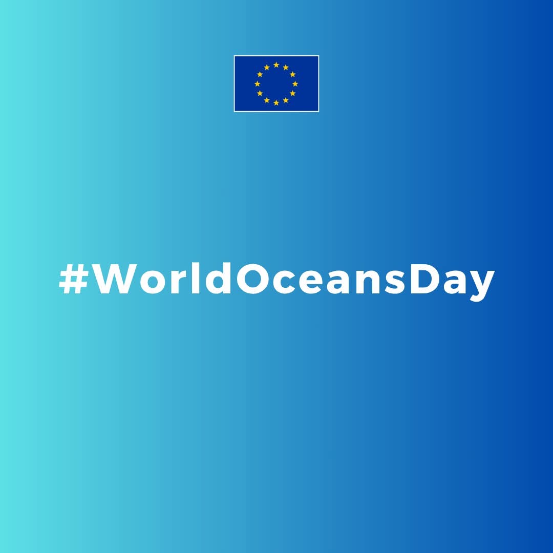Hoy celebramos el Día Mundial de los Océanos. Porque cuidarlos es proteger la vida.

Este 9 de junio, la Unión Europea presentará en la ONU el Pacto Europeo por los Océanos: una alianza para defender el corazón azul del planeta.

Ver más: europa.eu/!7VFYXR

#WorldOceansDay