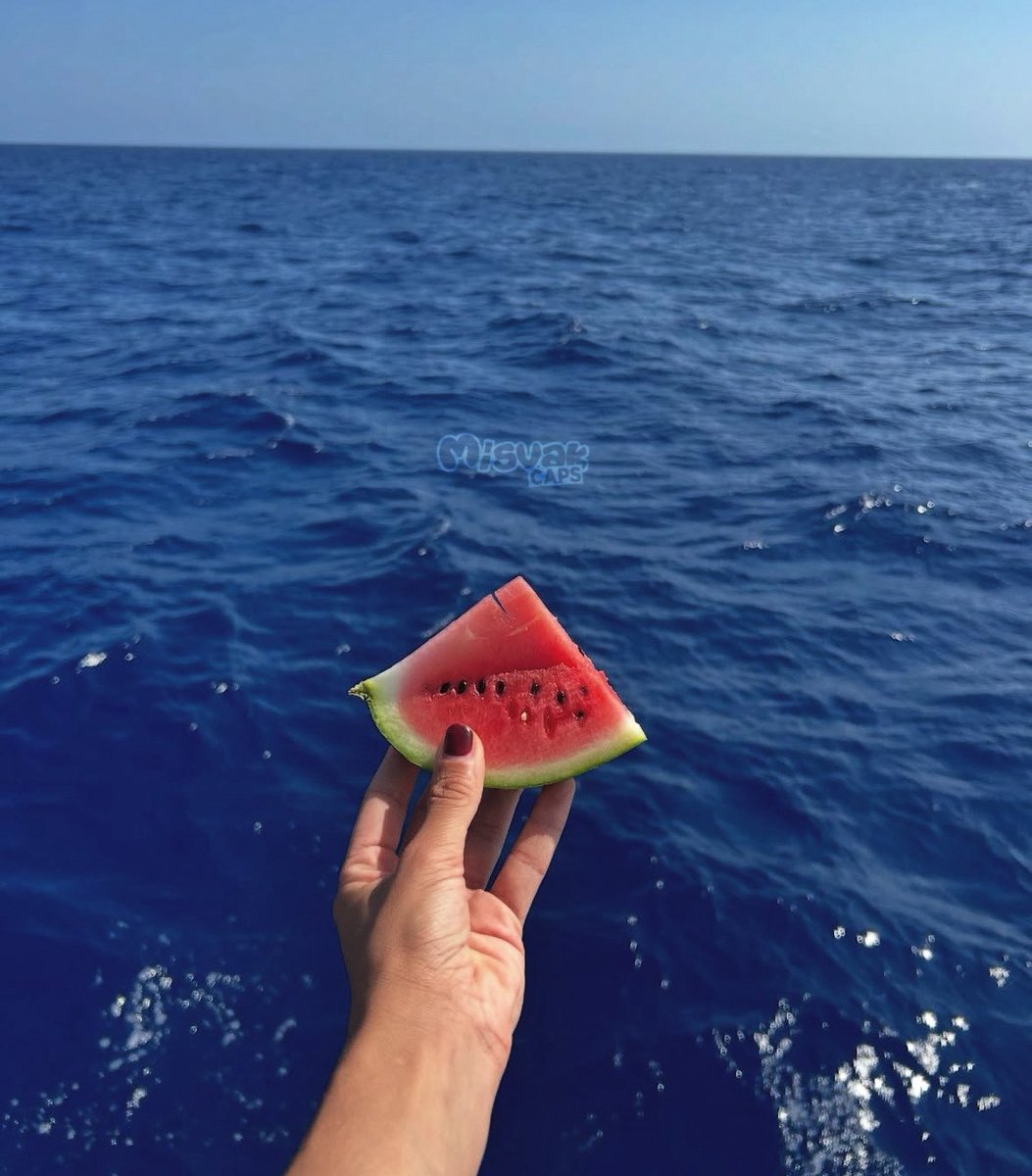 Denizden Nehire Özgür Filistin 🍉

 #WeAreMadleen