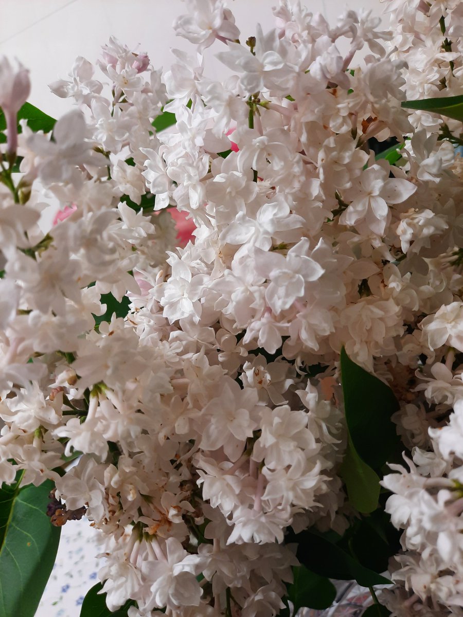 Эстетика вашей жизни при условии, что фотографиям не больше месяца