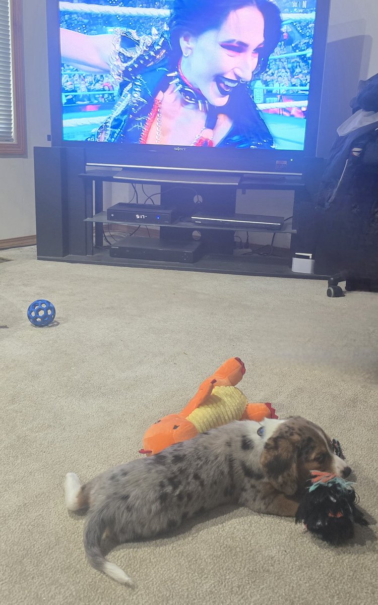 Justen25 tweet media