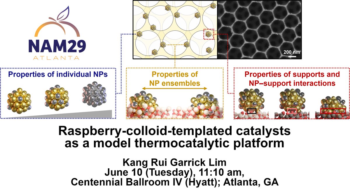 LimGarrick's tweet image. At @NAM29NACS on Tuesday, I will share how our raspberry-colloid-templating method can be employed as a model catalytic platform by broadly surveying some of my PhD works from @AizenbergLab.
Extended abstract here: lnkd.in/eiP779uV