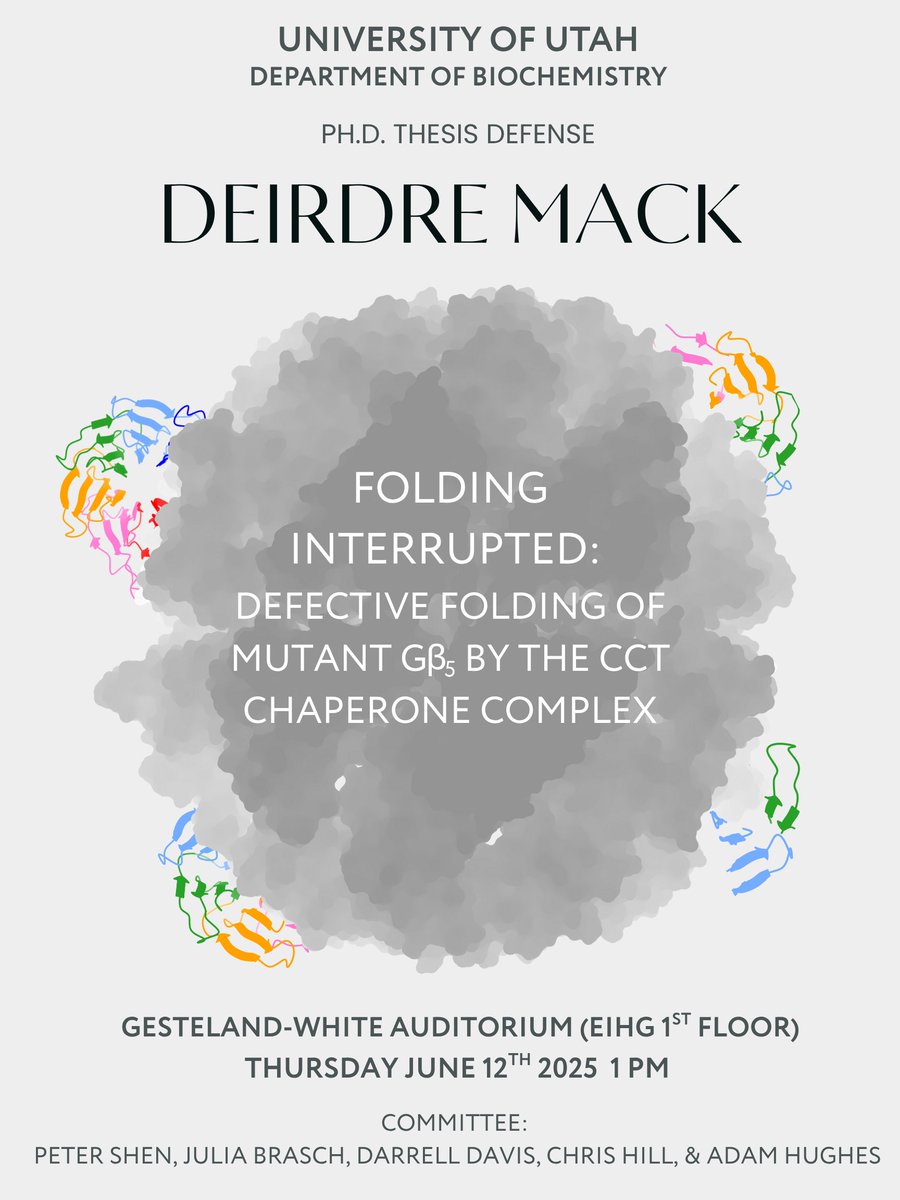 UofUBiochem's tweet image. On Thursday June 12th, Deirdre Mack will defend her thesis entitled "Folding Interrupted: Defective Folding of Mutant Gβ5 by the CCT Chaperone Complex." EIHG Auditorium at 1pm!