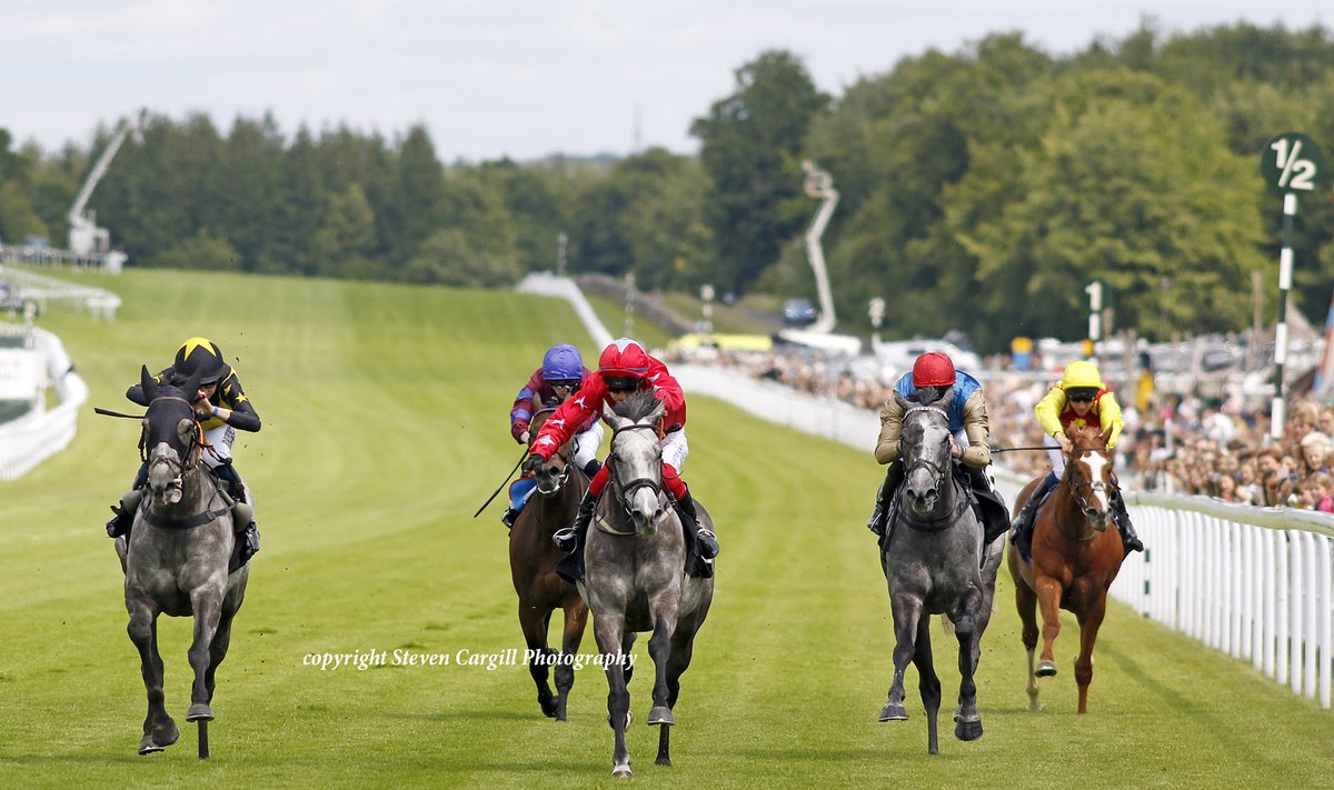 Steven_Cargill's tweet photo. 7th win for 7yo g MISTER BLUEBIRD (Outstrip) in 6f handicap @Goodwood_Races today for @RacingHeather https://t.co/0GMLprDNKv