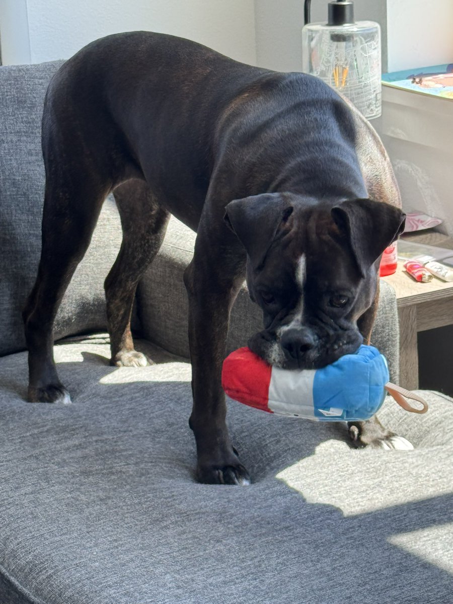 zesty_mate's tweet image. Somebody got a new toy today! #biggerta #bombpop