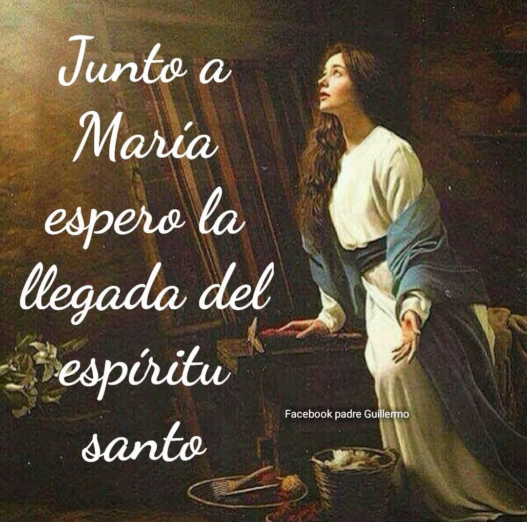 VEN ESPÍRITU SANTO

Junto a María tu hermosa doncella te espero, ven espíritu santo y colma mi corazón de tí, así como depositaste en su vientre al hijo de Dios, llena de vida mi existir, ilumina con tu luz el mundo que se encuentra en la oscuridad, deposita tu amor en aquellos