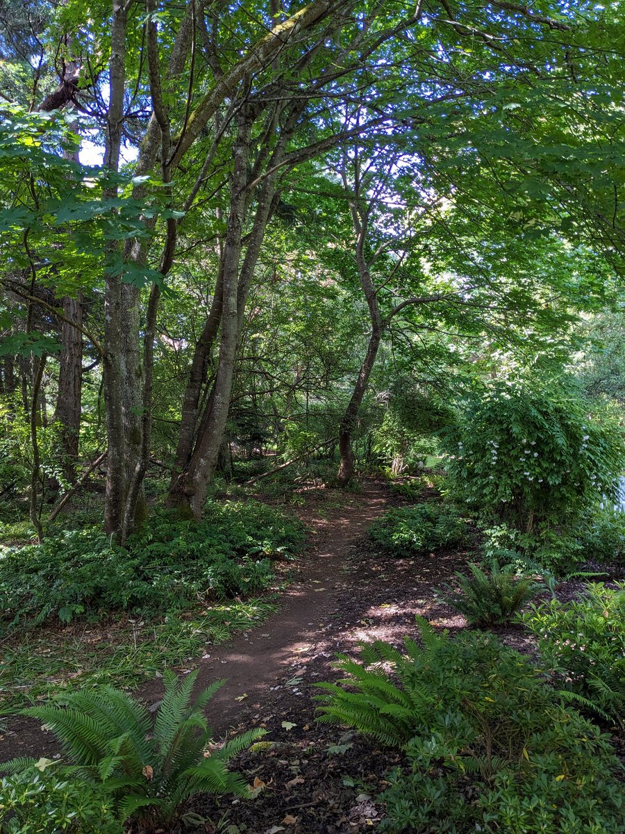 odiesislandlife's tweet photo. Some places are just magical 🥰 #followthepath #explore #vancouverisland #Canada https://t.co/Bn1khgvZhX
