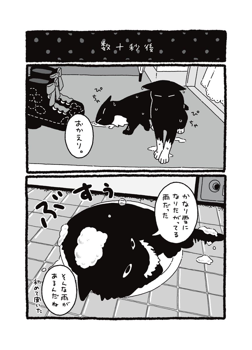 ④ 
