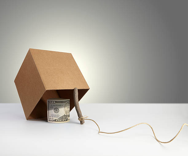 When first fiat dollar was made, a second was issued to pay the  interest.  And then a 3rd to make change. 66% loss on issuance. 

Bitcoin fixes it.