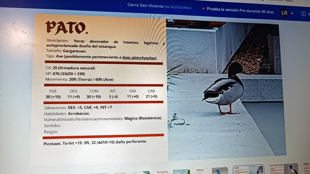 Lo (@lostgarou) on Twitter photo En 13 años como profe de bachillerato nunca me había pasado que mandara un trabajo de campo sobre las especies de un parque cercano y los alumnos me lo presentaran en forma de compendio de monstruos de #d&d. Hay futuro rolero, amigos <a href="/AtlanticaJuegos/">Atlantica Juegos</a> En 13 años como profe de bachillerato nunca me había pasado que mandara un trabajo de campo sobre las especies de un parque cercano y los alumnos me lo presentaran en forma de compendio de monstruos de #d&d. Hay futuro rolero, amigos <a href="/AtlanticaJuegos/">Atlantica Juegos</a>