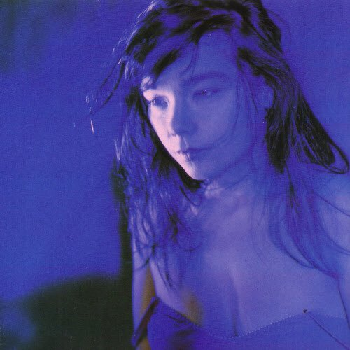 TheCinesthetic's tweet photo. Björk photographed by Nobuyoshi Araki (1996) https://t.co/jP6daKa6NO