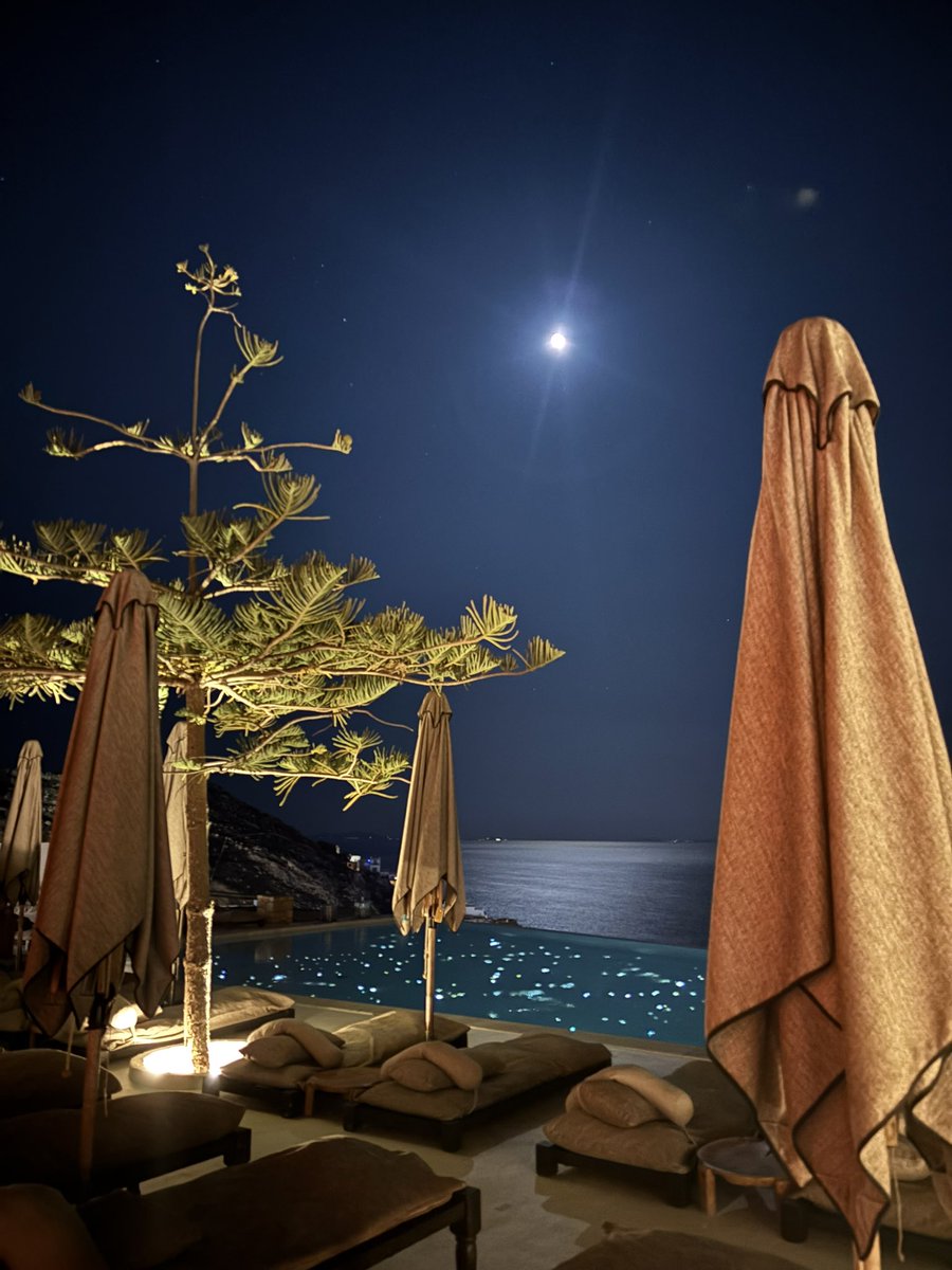 Mark Coutanche tweet media