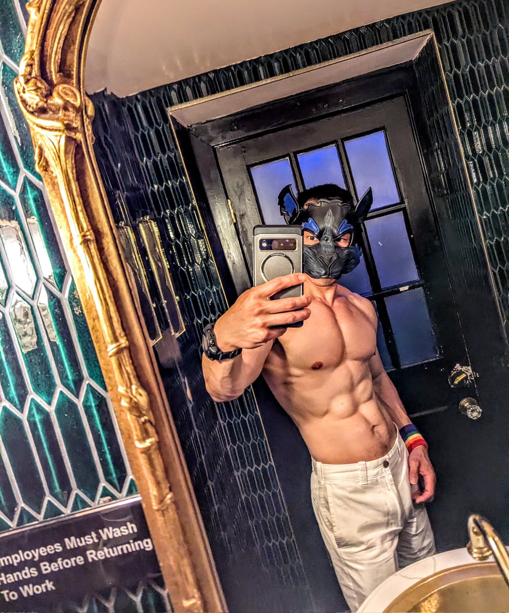 WolfPup Turbo tweet media