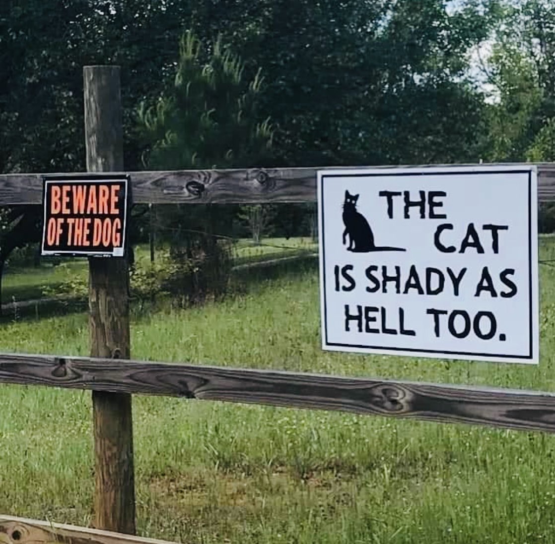 Did I mention the bull?