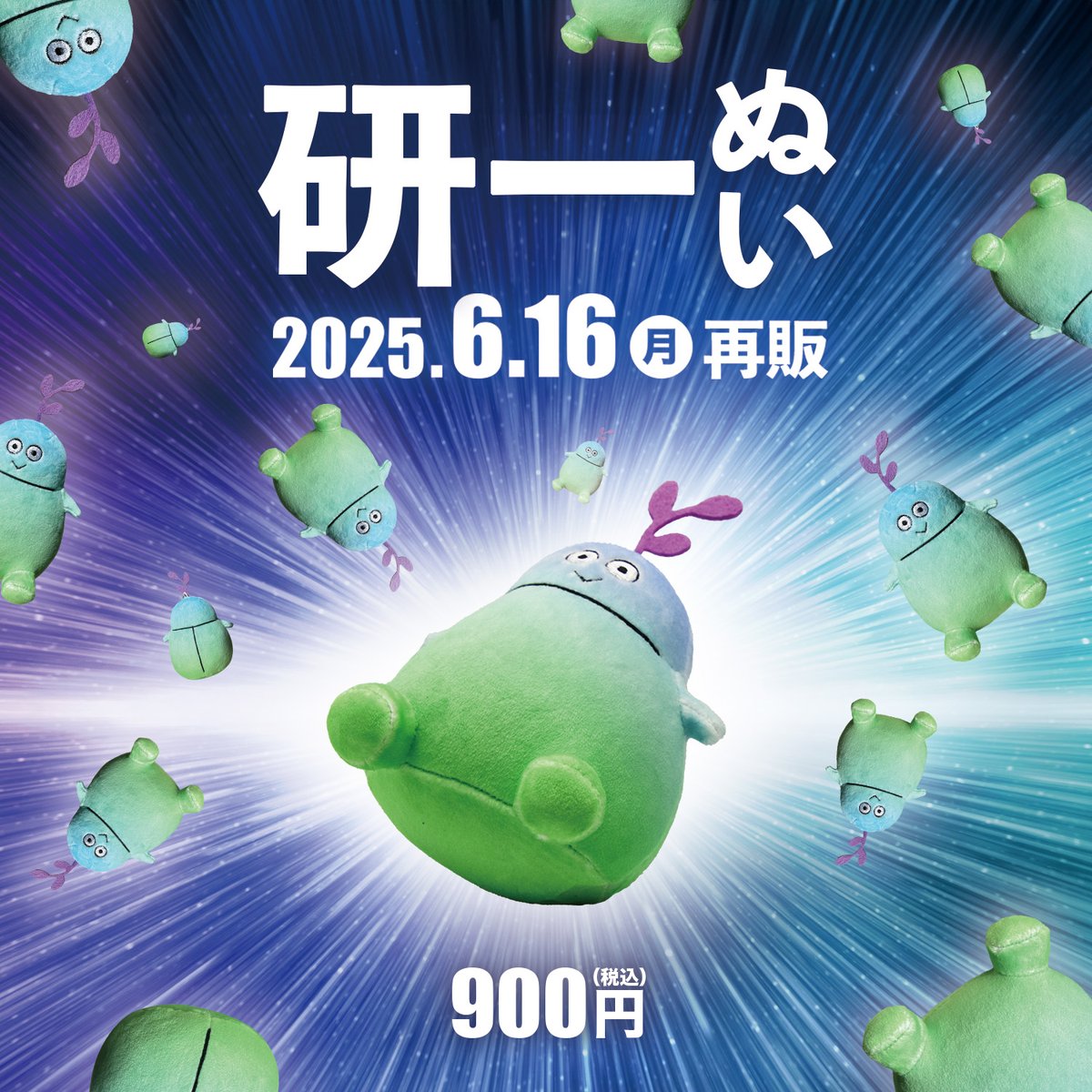 6/16（月）】 #研一ぬい 再販決定‼️ ＼＼ もちもちな研一ぬいと もっ