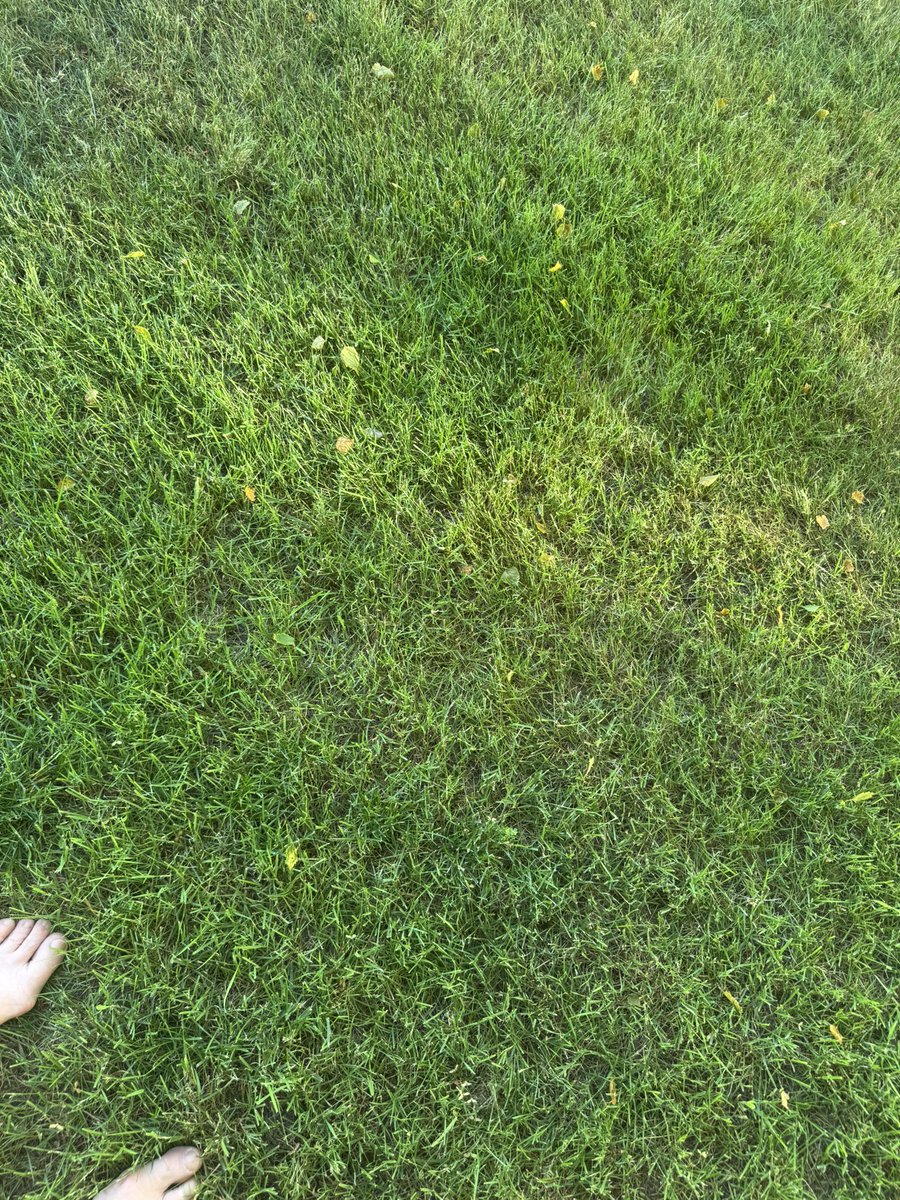 4eyedmonkey 🤓😎🥸 tweet media