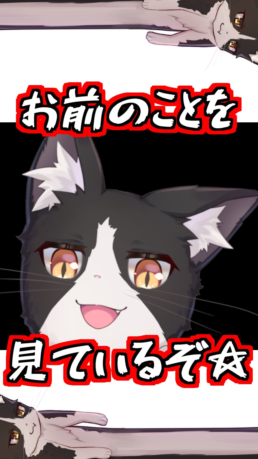 anifull 【anifull 公式】 保定のできる猫型採血シミュレーター