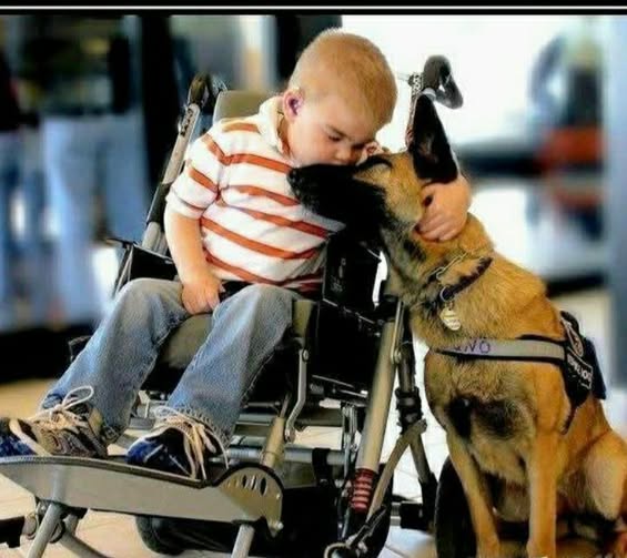 pablocasx1's tweet photo. LA GENTE DEBERÍA ENTENDER QUE LOS NIÑOS CON TDAH, ASPERGER, AUTISMO, ETC. NO TIENEN UNA ENFERMEDAD SINO UNA CONDICIÓN; NO ESTÁN BUSCANDO CURA, SINO ACEPTACIÓN. TAMPOCO BUSCAN LÁSTIMA, SÓLO RESPETO.

COMPARTE  ESTO POR LO MENOS 1 DÍA! HAZLO POR TODOS AQUELLOS NIÑOS. https://t.co/dmrNoXNHR1