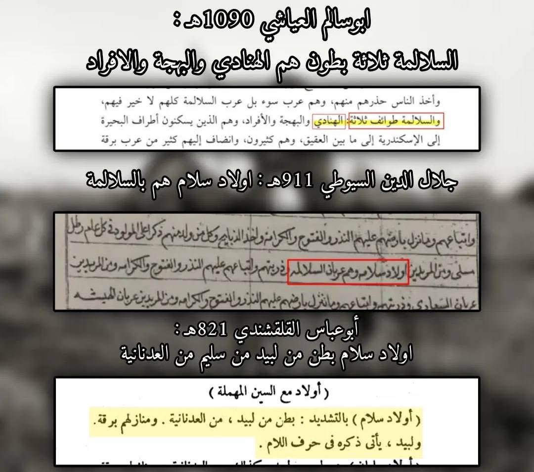 نسب قبيلة المنفة من الهنادي من بني سليم قبيلة عمر المختار 

سليم معربين شمال افريقيا ⚔️🔥