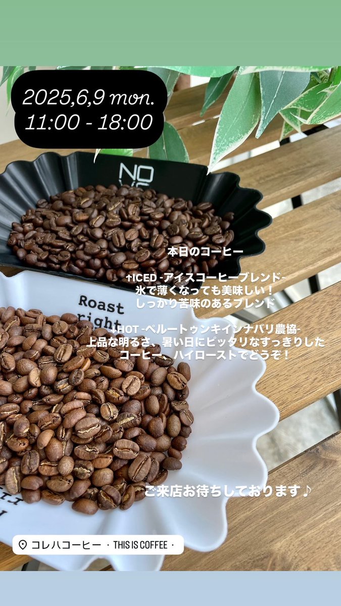 Korewa_Coffee's tweet photo. 2025.6.9 (月) ☁
【営業時間】
11時〜18時
【本日のコーヒー】
■HOT
ペルートゥンキインナバリ農協
《ハイロースト》
■ICE
アイスコーヒーブレンド
《フレンチロースト》
ご来店お待ちしております♪
#コレハコーヒー
#Thisiscoffee
#スペシャルティコーヒー
#自家焙煎珈琲
#群馬県
#藤岡市 https://t.co/dyjlC7bGI9