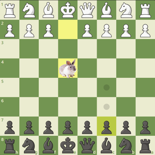 playing chess and my opponent just played this??? is this legal???