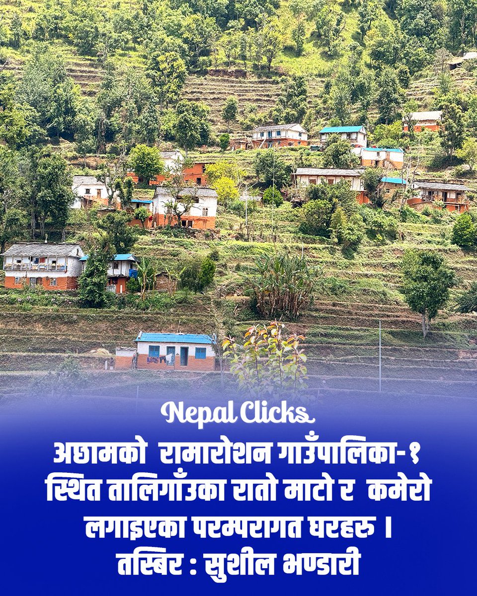 अछामको  रामारोशन गाउँपालिका-१ स्थित तालिगाँउका रातो माटो र  कमेरो लगाइएका परम्परागत घरहरु।

तस्बिर : सुशील भण्डारी/रासस