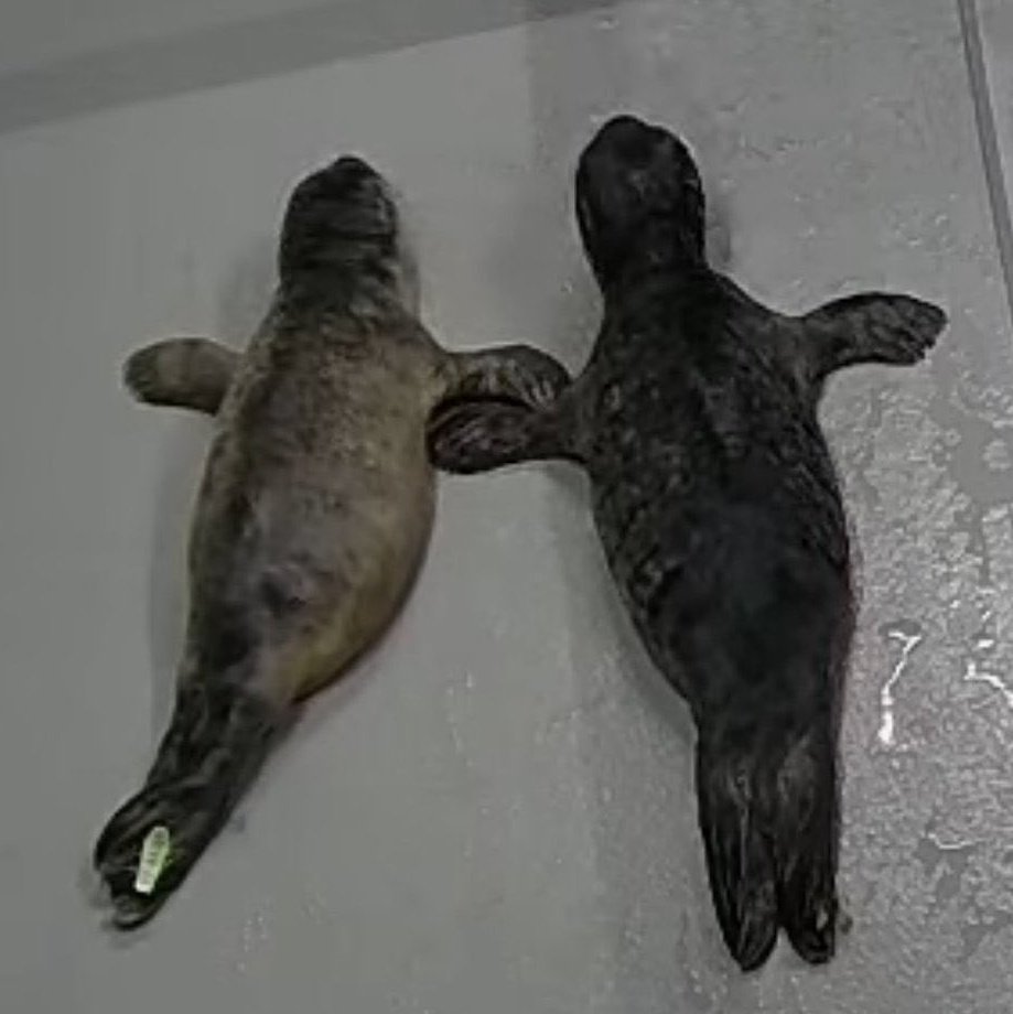 WHY DO WE
🔨🔨
CRUCIFY OURSELVES