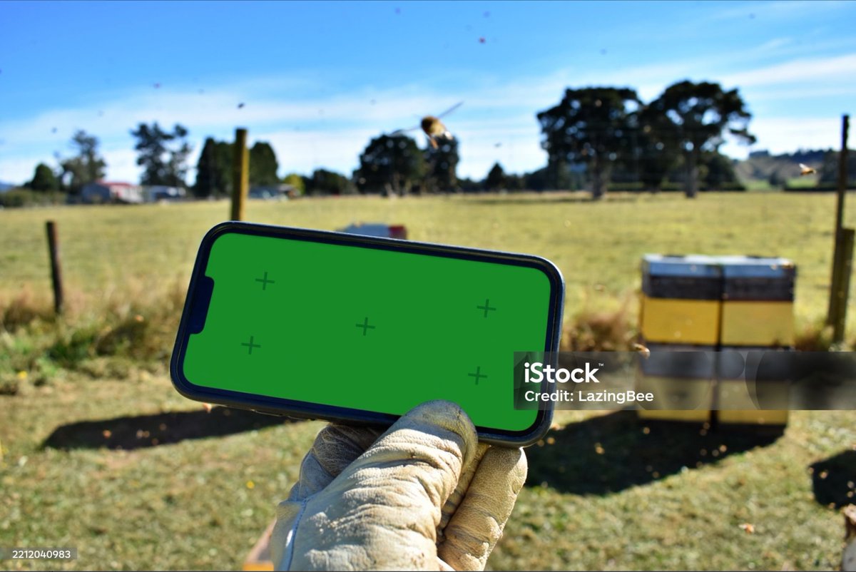 apicultureimage's tweet photo. Beekeeping and #Technology! 🐝
. . .
New images in my #Beekeeping and #Apiculture Collection - The Beekeeper &amp; Technology.
. . .
A #Beekeeper holds a mobile phone with green screen for managing #Beehives / Hive Management #App Concept.
. . .
Search #Lazingbee. ID: 2212040983 https://t.co/TKqCfbn7sJ