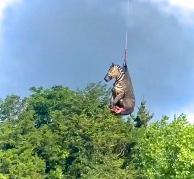 It's been a tough day for the state of Tennessee.

But it hasn't been all bad.

Remember, this also happened in Tennessee today.