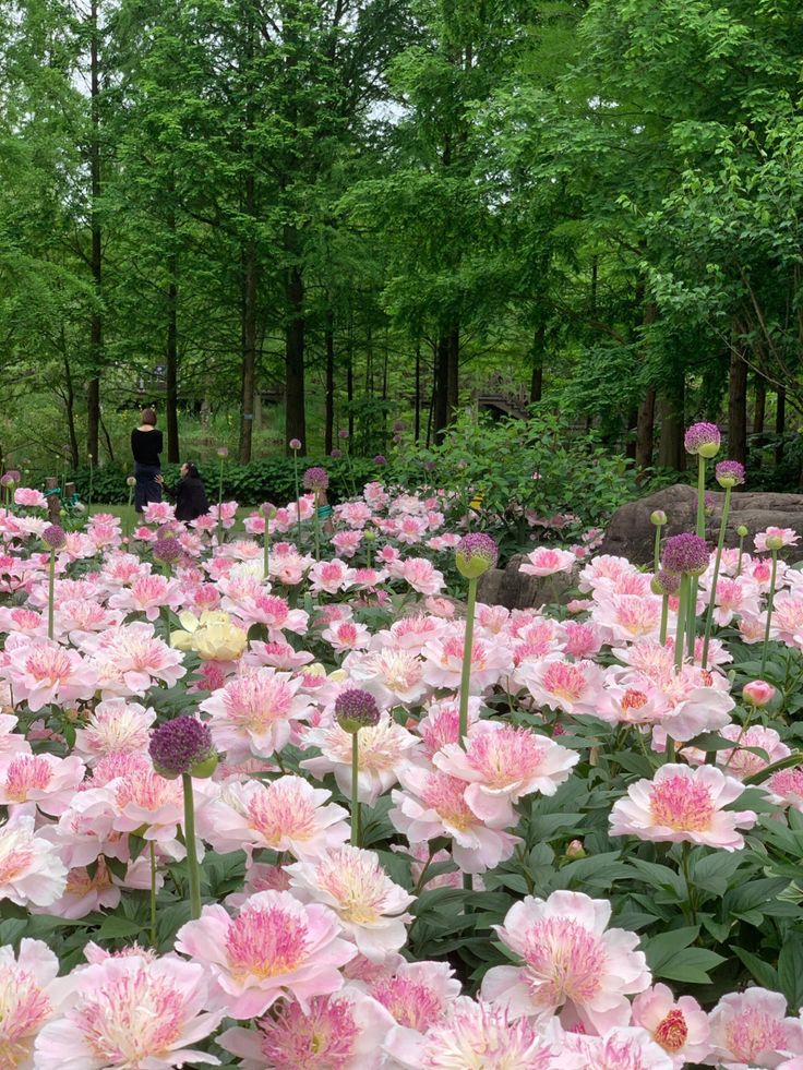 ᅠ ᅠ (@greendreaams) on Twitter photo 