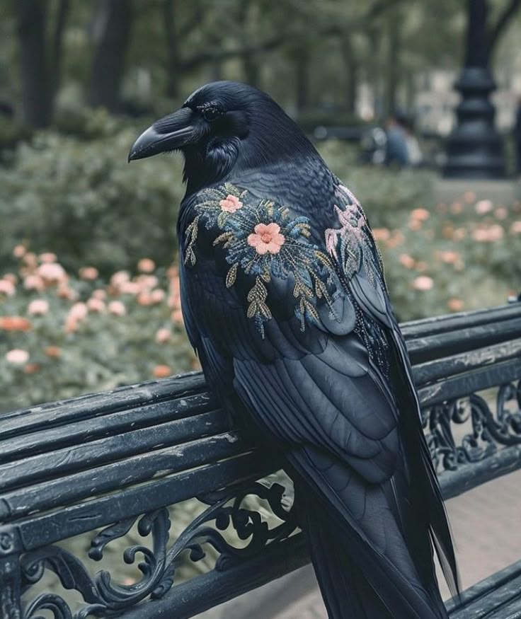 blackdreamvibes's tweet image. 