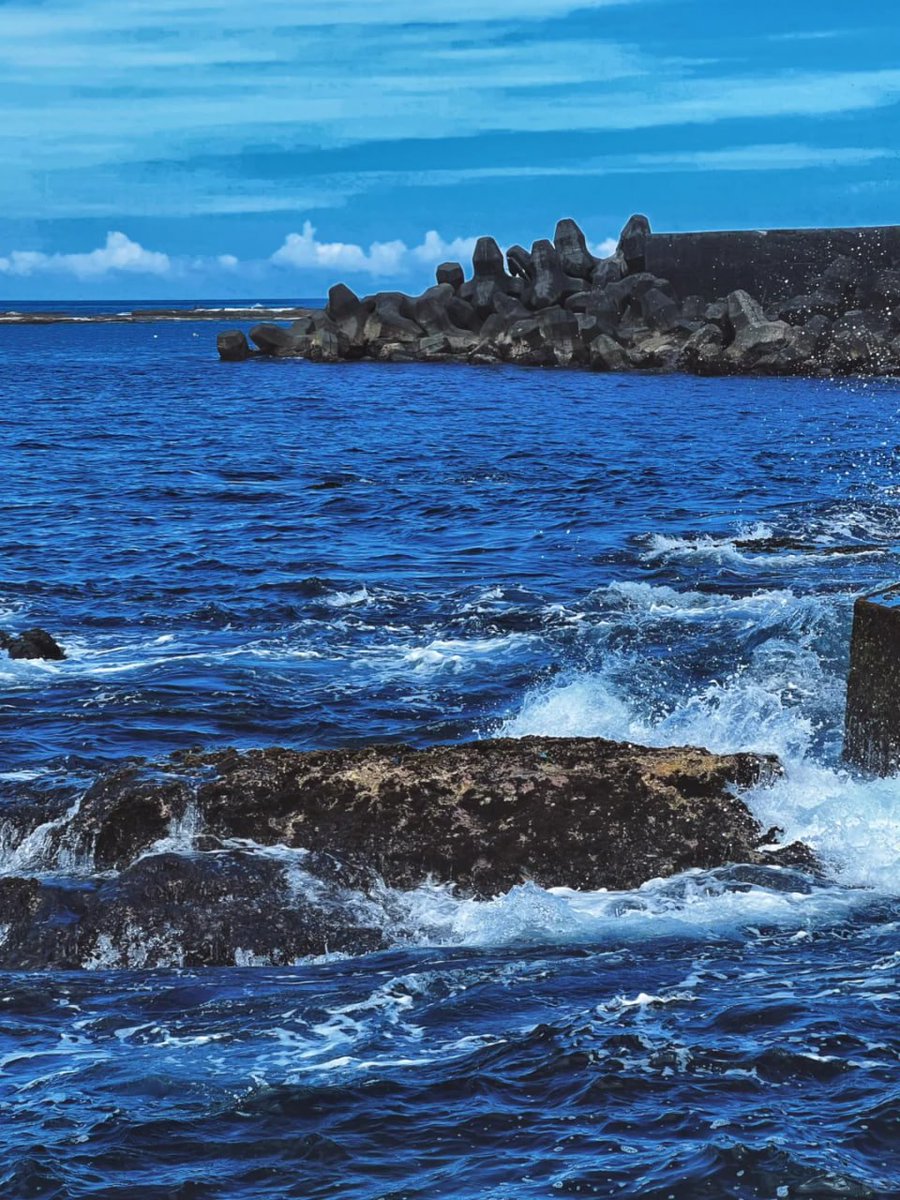 海辺で私に飛ぶことができます!