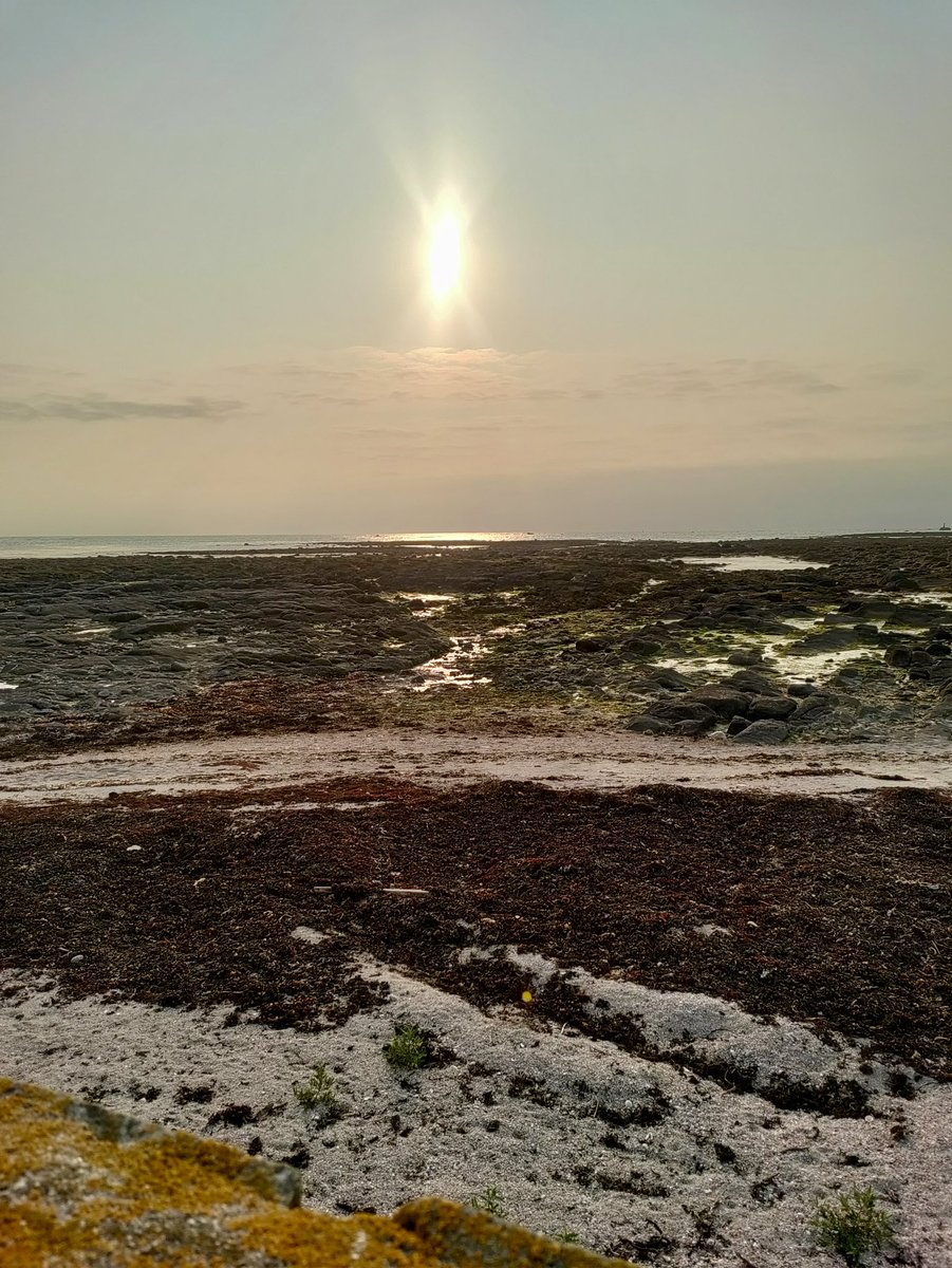 Vérifié à Penmarc'h