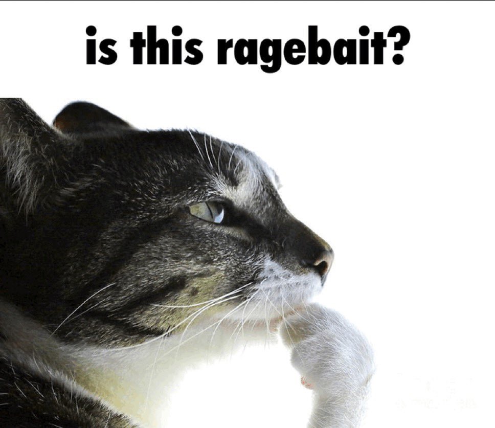 Chickenslider tweet media