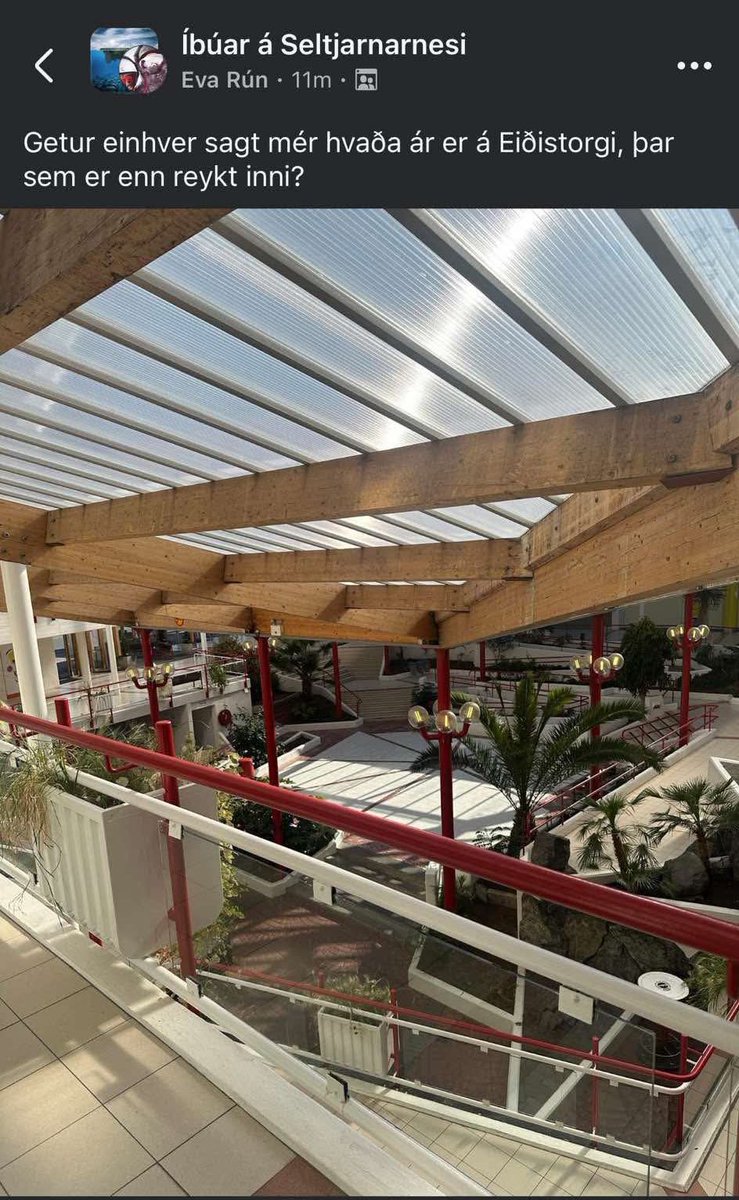 Einhver misskilningur hér á íbúum Seltjarnarness. Tropical paradise of Eiðistorg. Árið er 2025. Under the hallowed plexigler. Eini staðurinn sem má reykja inni á Íslandi og það er veisla 🫂