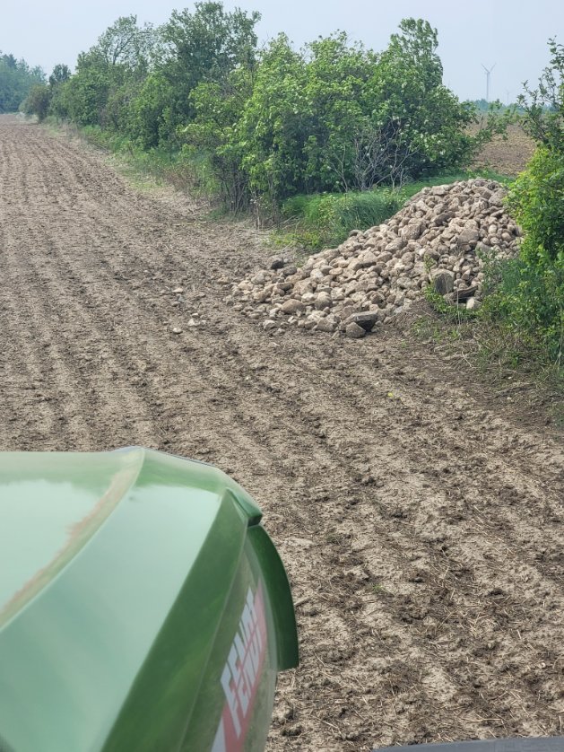 Some neighbors don't know how too neighbor very good. 🤨