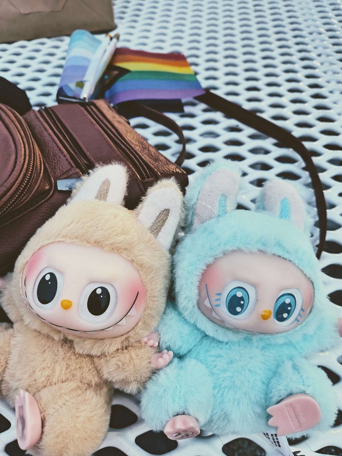 one of my besties asked me to go to pride with her and we got matching labubus!

HAPPY PRIDE🌈☁️