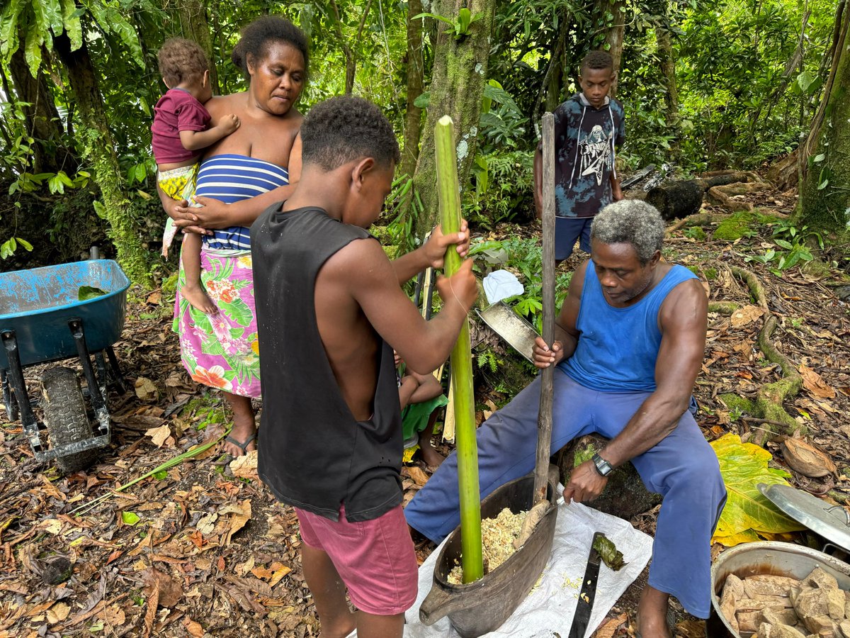 UNDP Solomon Islands tweet media