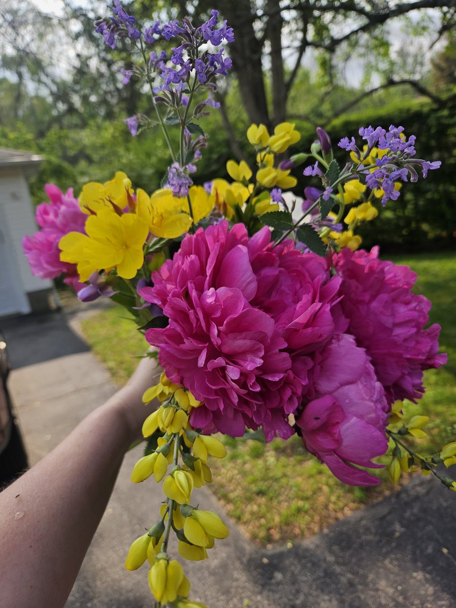 Kerry Dunne tweet media