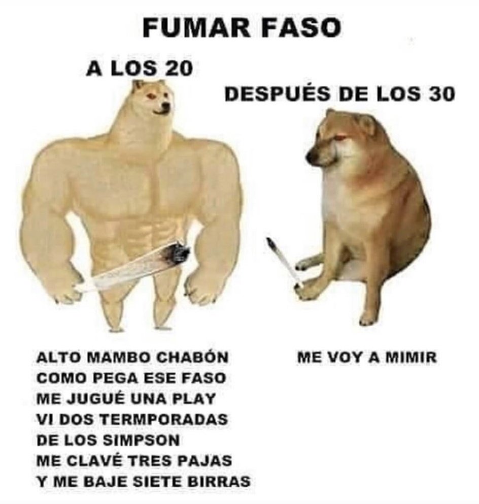 El Paragua Venenoso tweet media