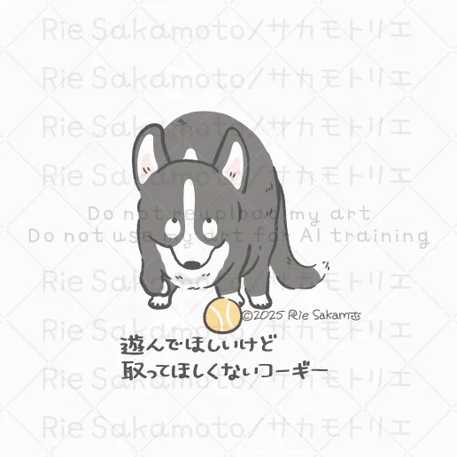 一緒に遊んでほしいときのコーギーあるある/遊んでほしいけど取ってほしくないコーギー(5/11) 