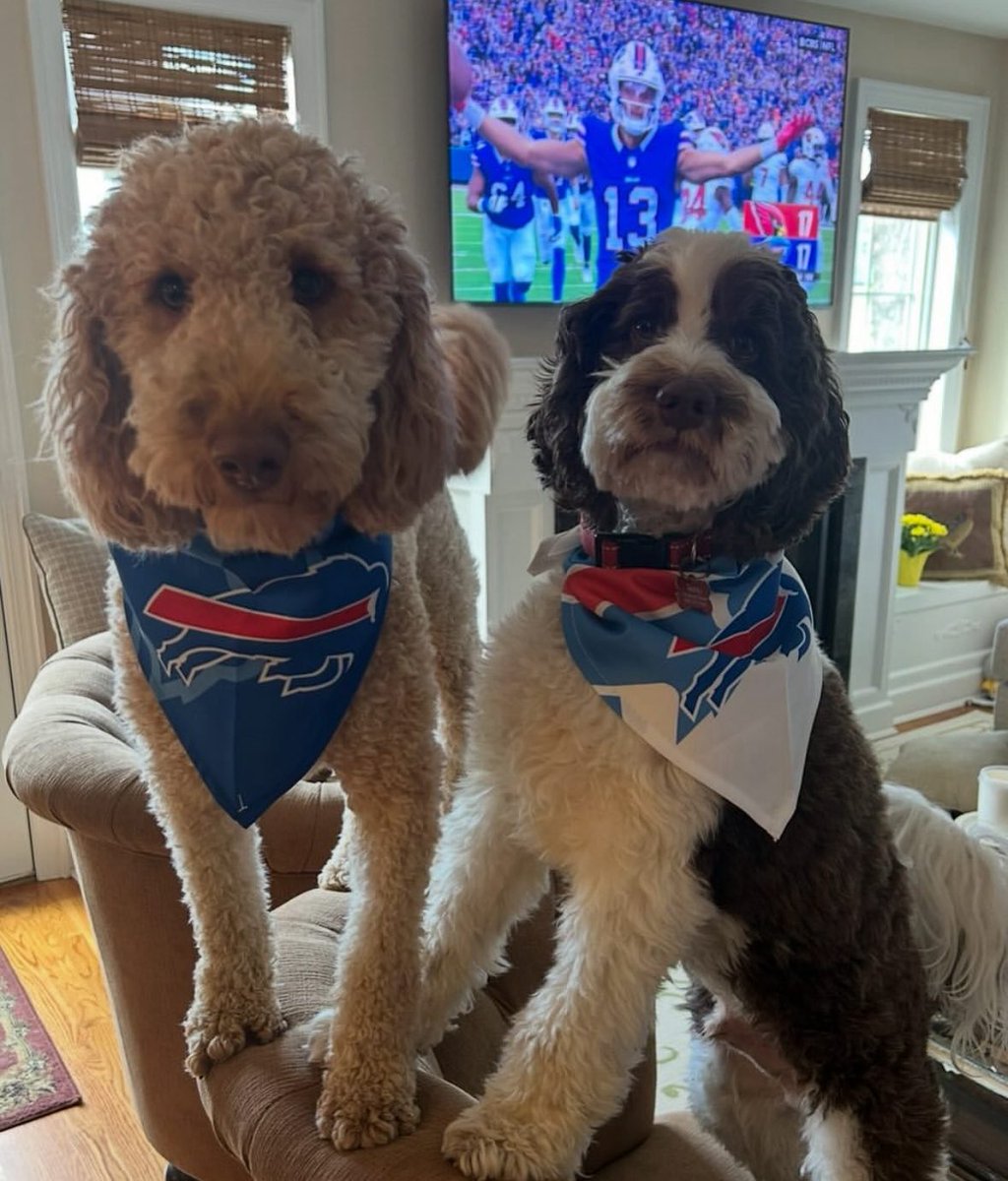 Happy Birthday to my main man Sarge ( on the left ) !!!    GO <a href="/BuffaloBills/">Buffalo Bills</a> !! #happybirthday #rescue